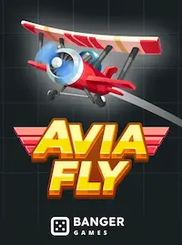 Avia Fly crash at EP444 BD
